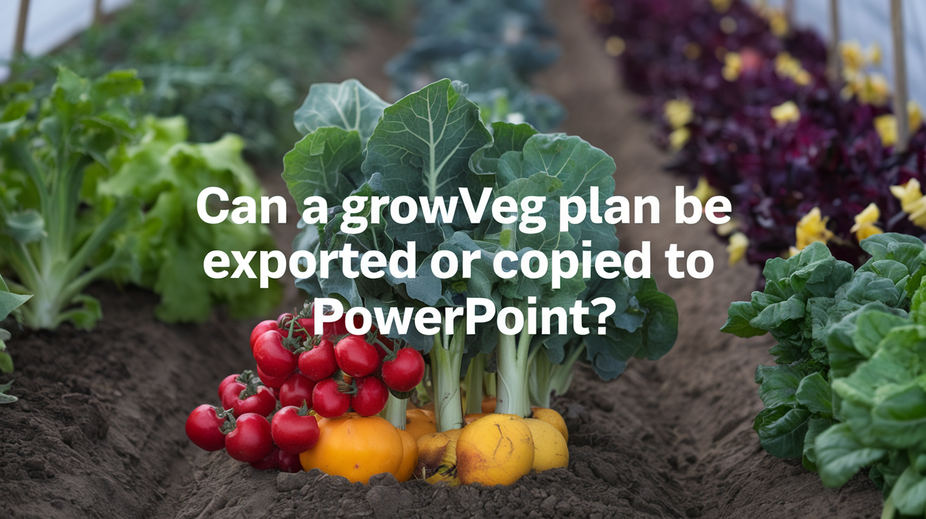 Can a GrowVeg Plan Be Exported or Copied to PowerPoint: Master the 